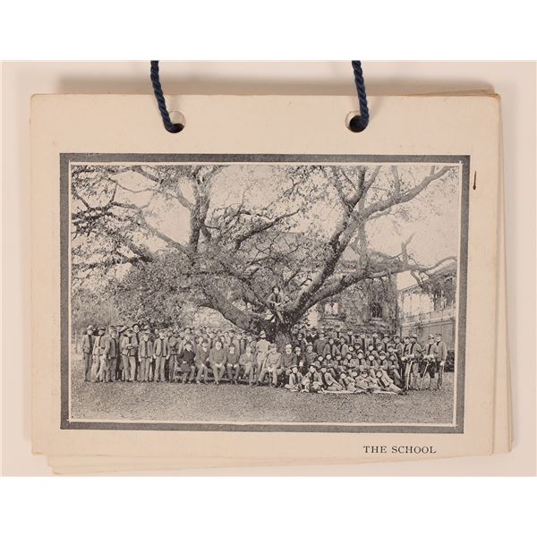 Camp Boyd Photo Cards [183181]