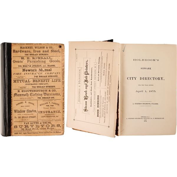 Holbrooks New York City Directory, 1875 [82855]
