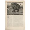 Image 1 : A Relic of the Pliocene - Jack London Short Story  [199430]