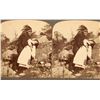 Image 3 : Miscellaneous Stereoview Collection (50) [197905]