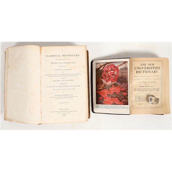 Early Dictionaries, 1841-c.1900 (2) [198706]