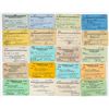 Image 1 : Minneapolis & St. Louis Railroad Co. Passes (20) [198933]