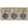 Image 1 : Morgan Dollars Unusual Mint Marks (3) [199060]