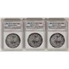 Image 1 : U.S. Silver Eagles Recovered at World Trade Center (3) [198830]