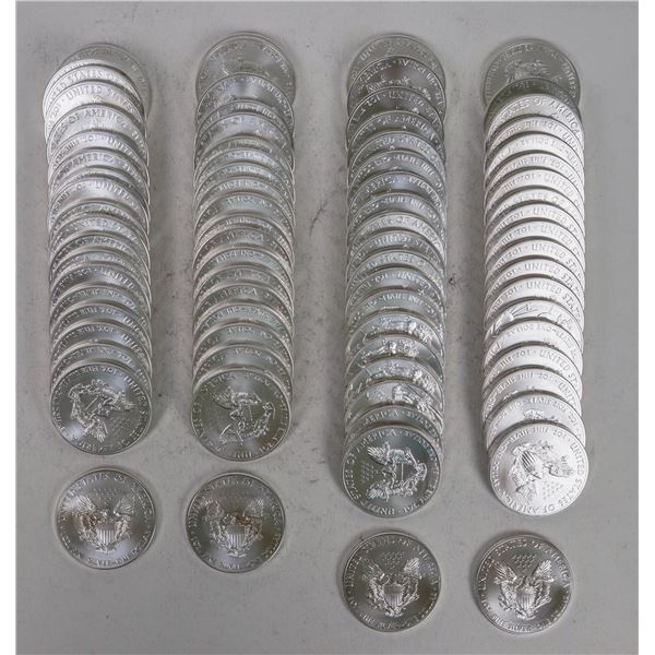 U. S. Silver Eagles 2013 (80) [199502]
