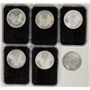 Image 2 : U. S. Silver Eagles Colorized (6) [198627]