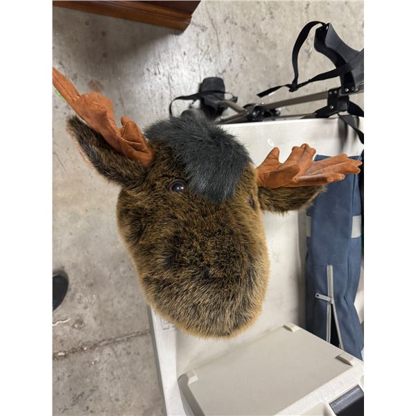 Moose head