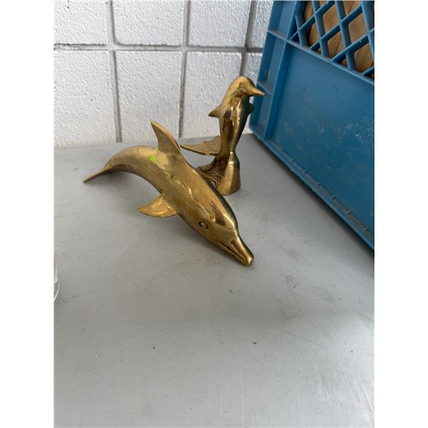 Dolphins