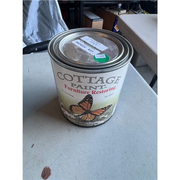 True blue Cottage Paint