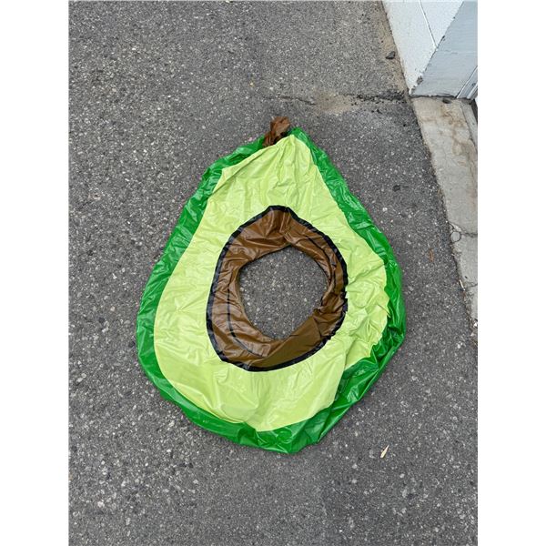 Avocado Pool Float