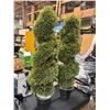 Image 1 : Artificial plants