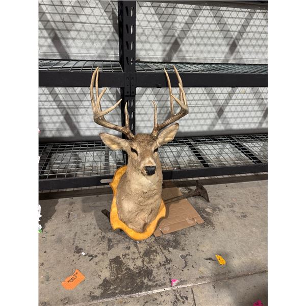 Deer decor