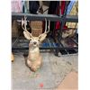 Image 1 : Deer decor