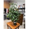 Image 1 : Artificial plant