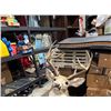 Image 1 : Deer head
