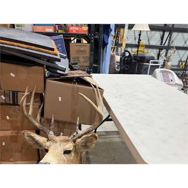 Deer head