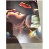 Image 2 : Kate Hudson glorious poster signed