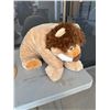 Image 1 : Lion