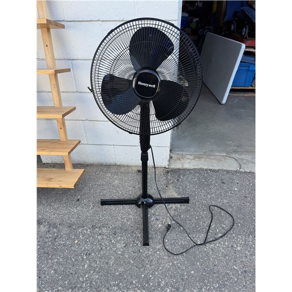 Fan