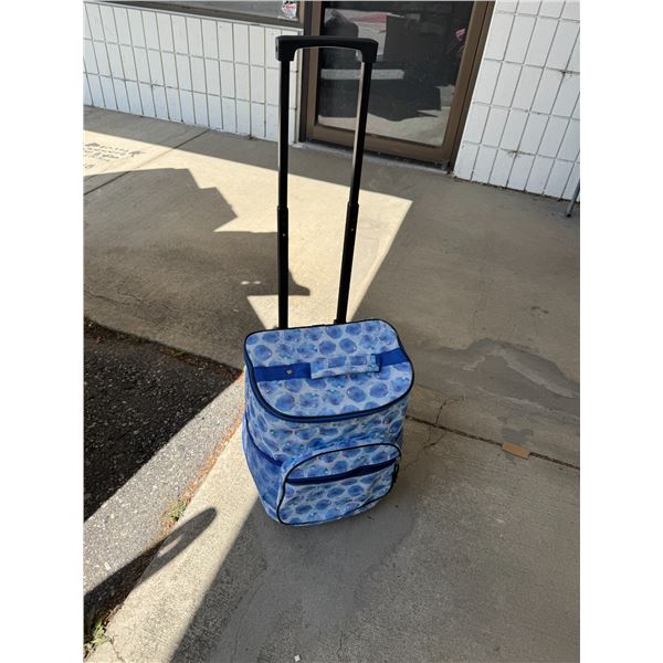Cooler bag