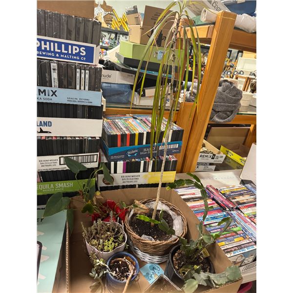Plants
