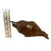 Image 1 : Wood Hand Carved Seashell Conch Decorative Sculpture