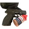 Image 3 : Crosman air pistol, a holster, and a bottle of Crosman BB