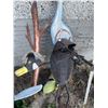 Image 2 : Various Yard Decor