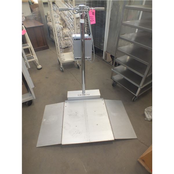 Scaletronix Weigh Scale