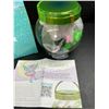 Image 5 : 1 DIY Light-Up Fairy Garden Terrarium Kit for Kids - Brand New!