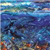 Image 2 : From Sea to Shining Sea by Nelson Robert Lyn