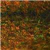 Image 2 : Untitled by Inam Original