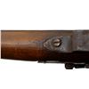 Image 24 : UNKNOWN BELGIAN | Model: Fowler | Caliber: 20 G