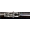 Image 25 : MARTINI HENRY | Model: MKIV | Caliber: .577-450