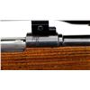 Image 13 : SWEDISH MAUSER | Model: M96 Sporter | Caliber: 6.5 X 55