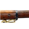 Image 14 : BRITISH ENFIELD | Model: P14 | Caliber: .303 BR