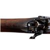 Image 15 : BRITISH ENFIELD | Model: P14 | Caliber: .303 BR