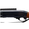 Image 6 : REMINGTON | Model: 870 Magnum | Caliber: 12 G X 3"