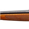 Image 8 : SAVAGE | Model: 111 Youth | Caliber: .30-06 SPRG