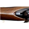 Image 15 : REMINGTON | Model: 7 | Caliber: 17 REM FIREBALL