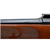Image 9 : WINCHESTER | Model: 70SA Ranger | Caliber: .223 REM