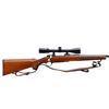Image 2 : RUGER | Model: M77 Hawkeye | Caliber: .204 RUGER