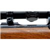 Image 8 : RUGER | Model: M77 Hawkeye | Caliber: .204 RUGER