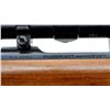 Image 8 : RUGER | Model: M77 Hawkeye | Caliber: .338 WIN MAG