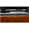 Image 8 : REMINGTON | Model: 700 Classic | Caliber: .30-06 SPRG