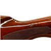 Image 15 : REMINGTON | Model: 11-48 | Caliber: 410 G X 3"