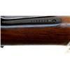 Image 15 : MARLIN JM | Model: 444 | Caliber: .444 MARLIN