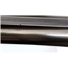 Image 17 : ITHACA FLUES  | Model: Hammerless | Caliber: 10 G X 2 7/8"