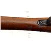 Image 20 : ITALIAN CARCANO | Model: 1938/41 Carbine | Caliber: 8MM MAUSER