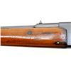 Image 10 : FRENCH LEBEL | Model: 1886 Sporter | Caliber: 8MM LEBEL